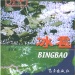 苍溪县好玩的地方